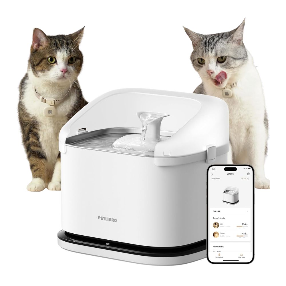 GIOTOHUN 2,2 L fuente para gatos de acero inoxidable silenciosa
